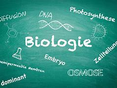 Course Image 20/21 Biologie 9.4 Kroll