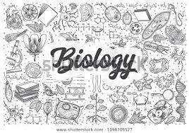 Course Image 20/21 Biologie 8.1 Beckert-Groß